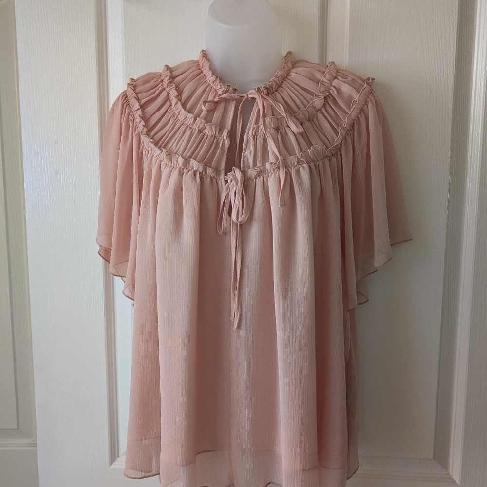 Zara Ruffled Blush Pink Blouse